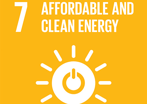 Goal 7: Affordable and Clean Energy