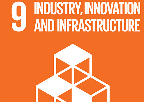 Goal 9: Industry, Innovation, and Infrastructure