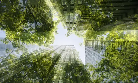 Cityscape mixed with green plants, multi layered image