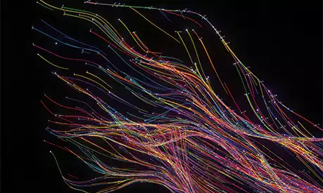 A lot of fibre optic cables on a black background