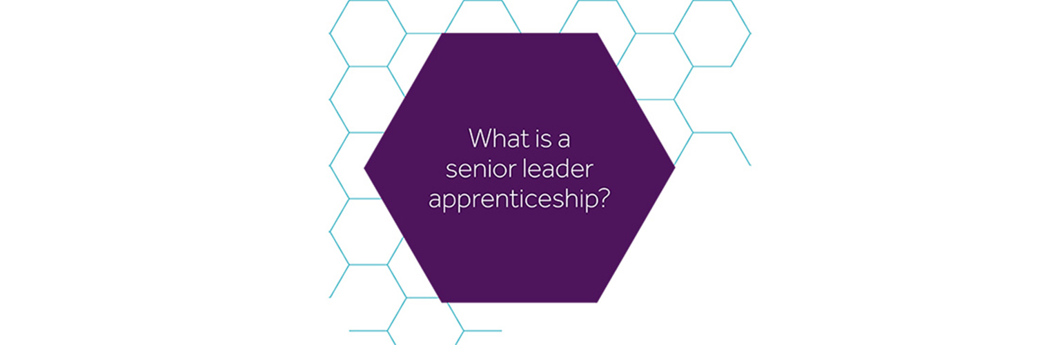 what is the apprenticeship levy
