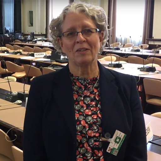stephanie barrientos at the UN forum on business and human rights