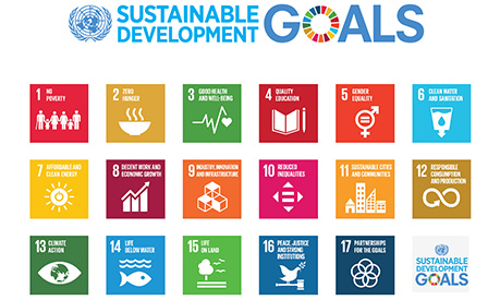 united nations sustainable goals