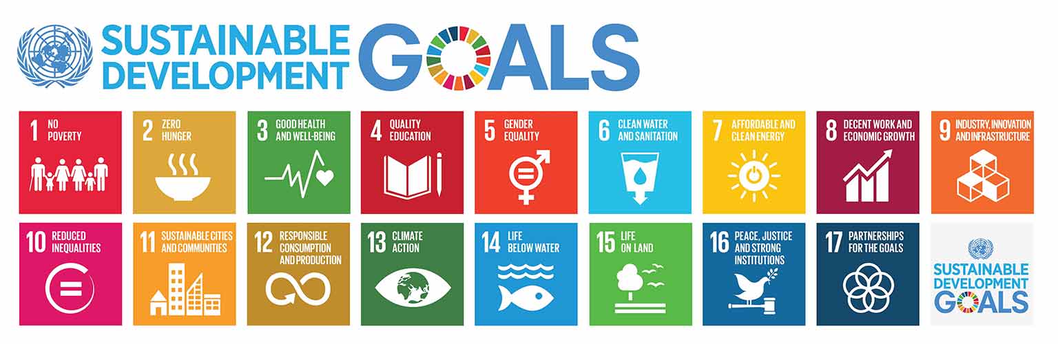 united nations sustainable goals