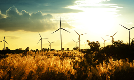 a wind farm with a wheat field in the foreground