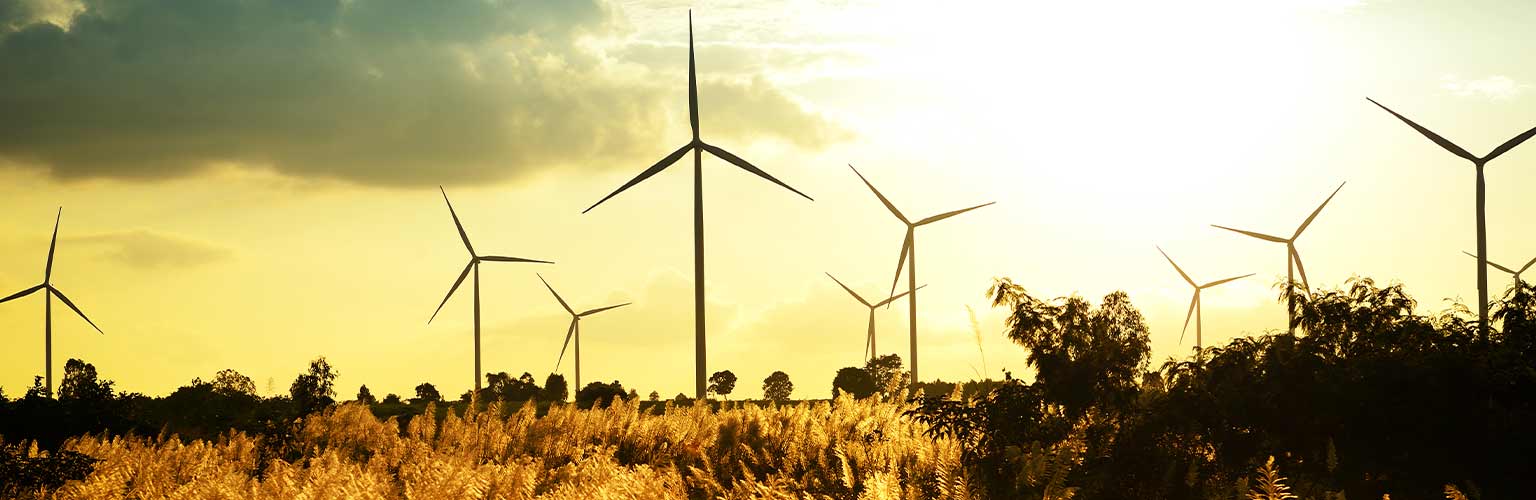 a wind farm with a wheat field in the foreground