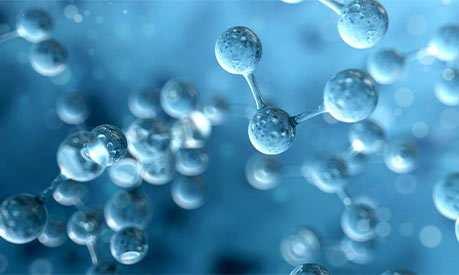 biological revolution molecules 