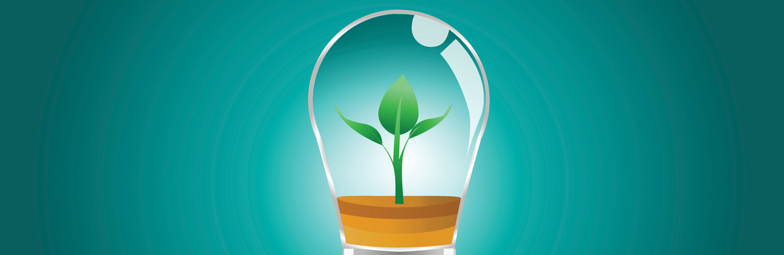 An image of a light bulb with a plant growing inside of it on a teal background. 