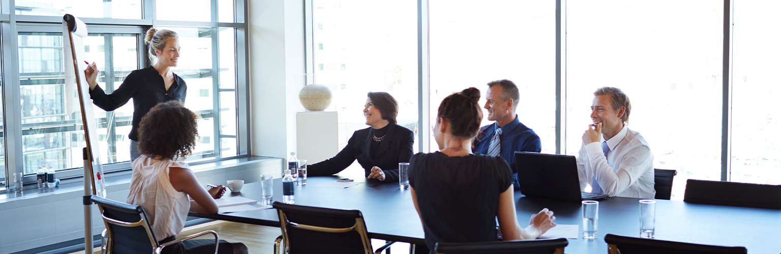 Boards Of Directors Alliance MBS