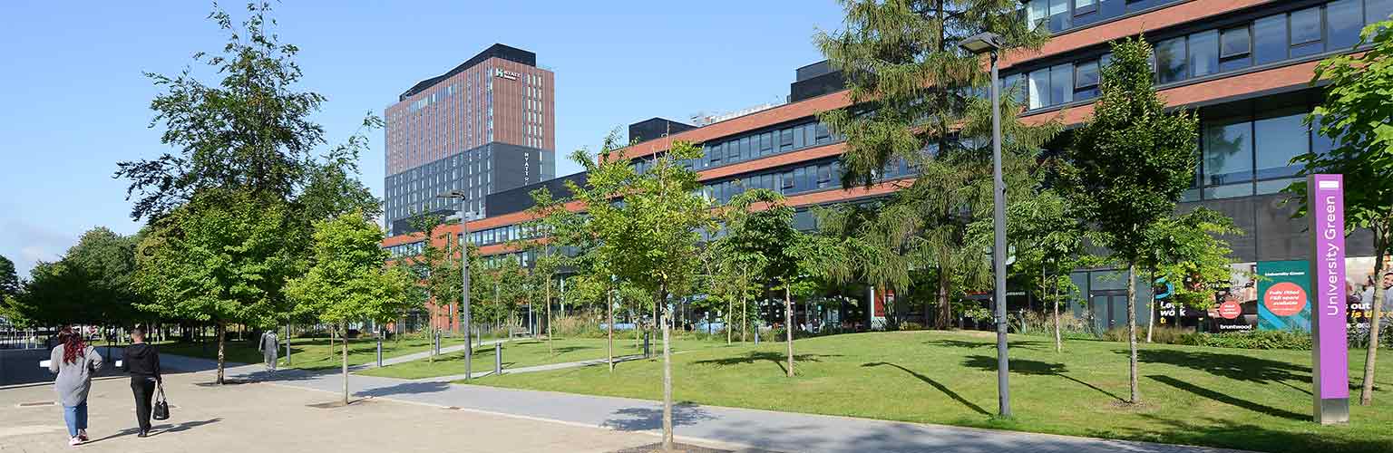 University Green in the sunshine