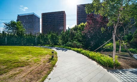 A park in an urban space