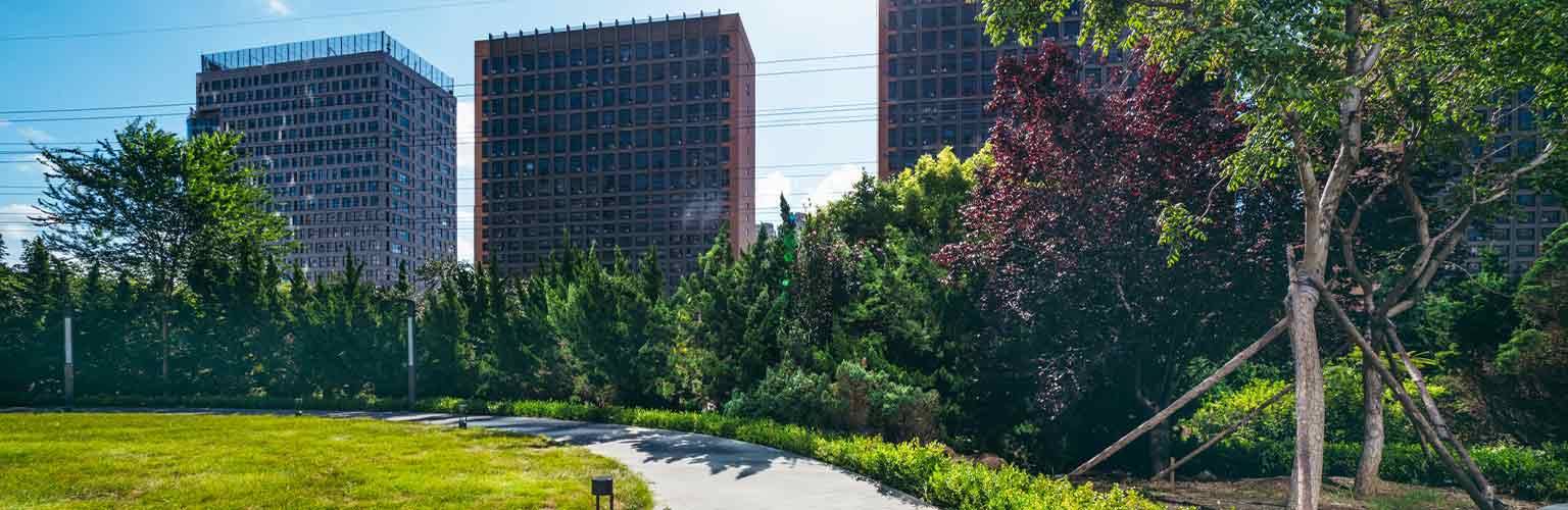 A park in an urban space