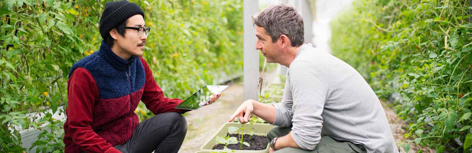 A manager and employee outside with a tablet in a farm