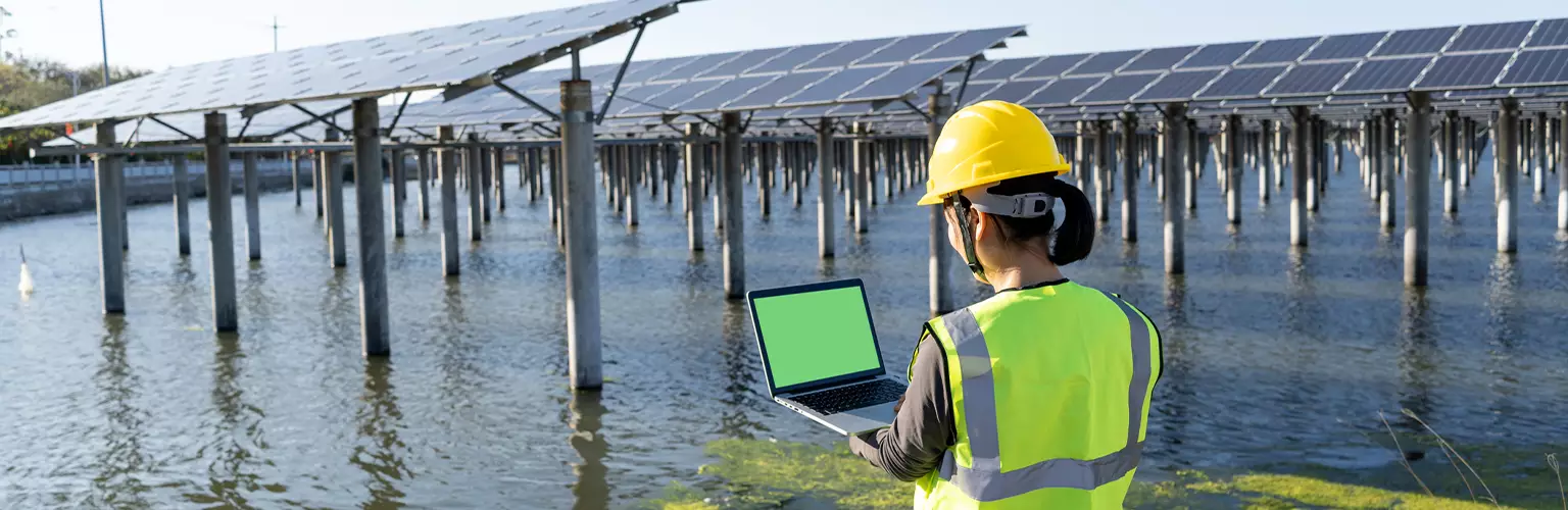 A worker on a laptop looking at lots of solar panels
