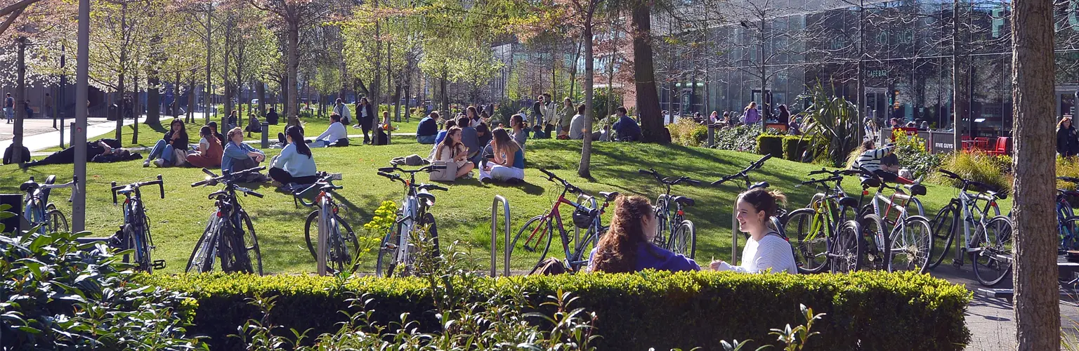 Students sitting and relaxing on the University Green outside Alliance Manchester Business School, with bicycles, trees, and the glass-fronted building visible on a sunny day.