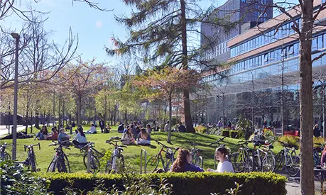 Students sitting and relaxing on the University Green outside Alliance Manchester Business School, with bicycles, trees, and the glass-fronted building visible on a sunny day.