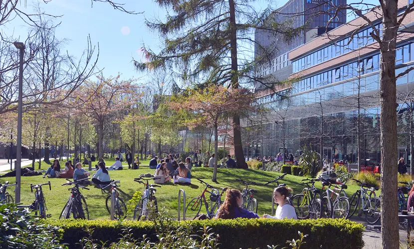Students sitting and relaxing on the University Green outside Alliance Manchester Business School, with bicycles, trees, and the glass-fronted building visible on a sunny day.