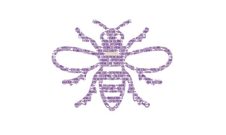 Manchester enterprise bee