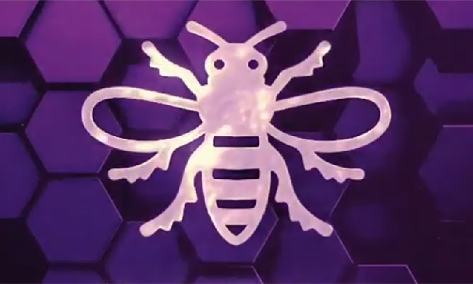 Purple and white Manchester bee graphic