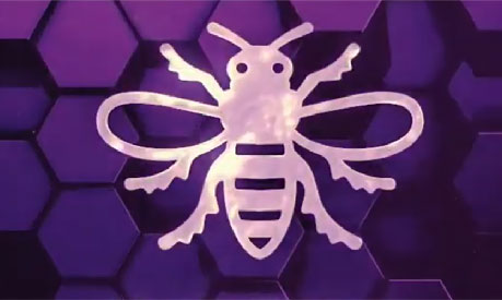 Purple and white Manchester bee graphic