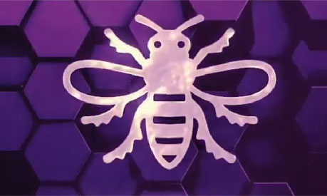 Purple and white Manchester bee graphic