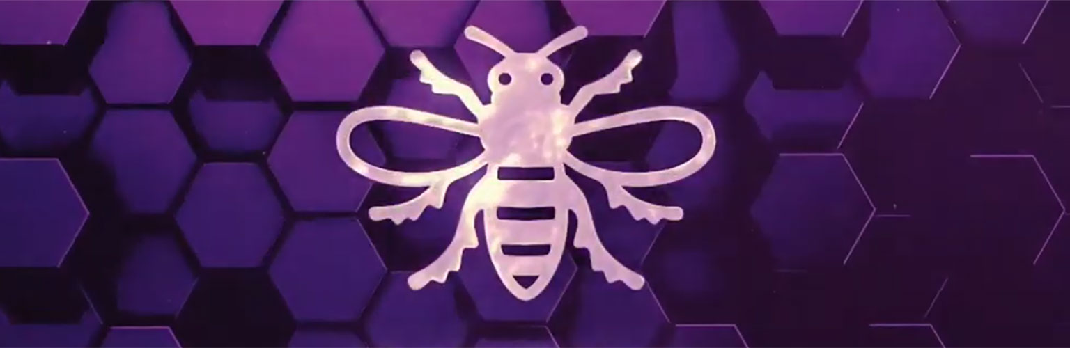 Purple and white Manchester bee graphic