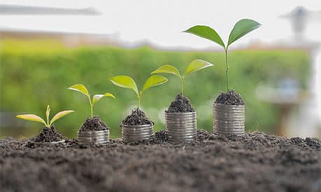 Step of coins stacks with tree growing on top, nature background, money, saving and investment or money planning concept.