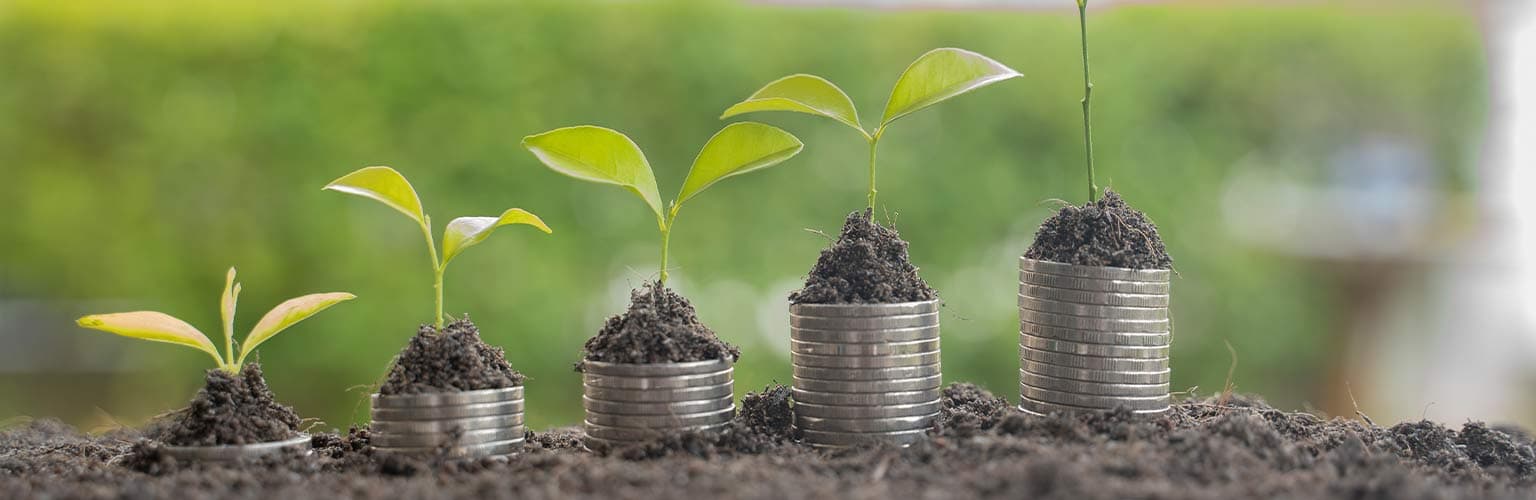 Step of coins stacks with tree growing on top, nature background, money, saving and investment or money planning concept.