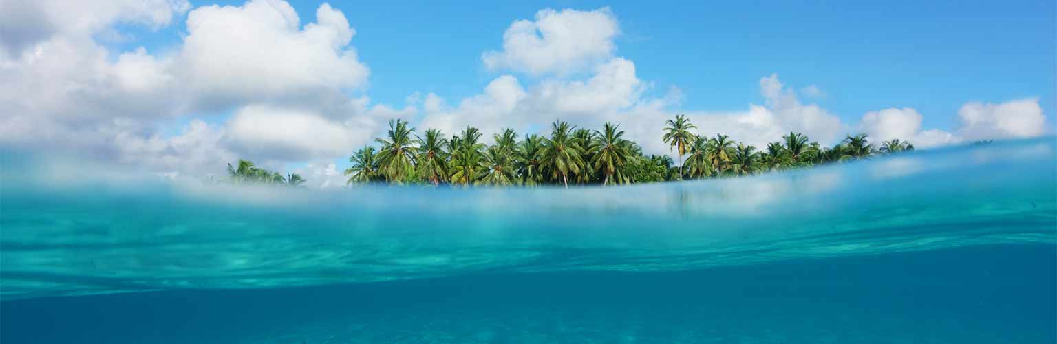 A tropical island partially under water