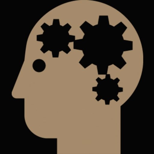 behavioural foundations of strategy