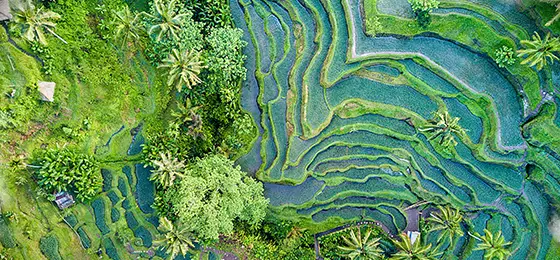 Scenic rice field terrace from above with clouds.