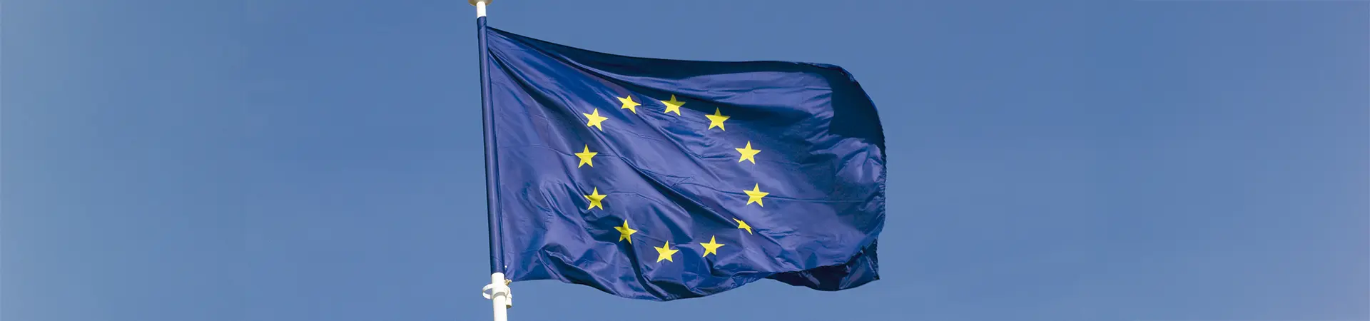 EU flag in the blue sky.