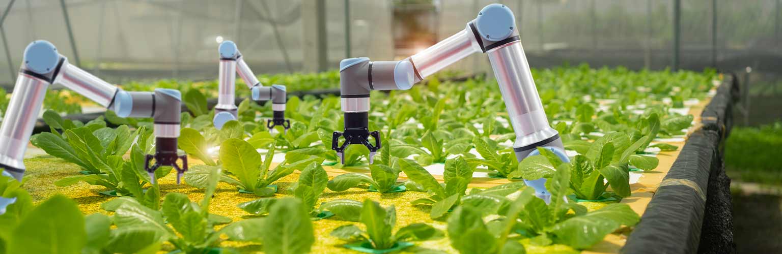 artificial intelligence robots fertilising plants