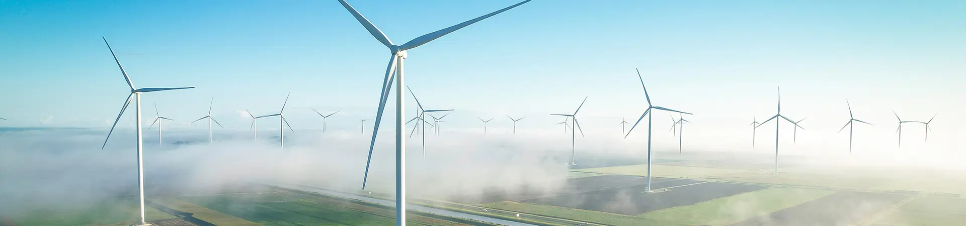 A field of windmills and solar panels against a blue sky.