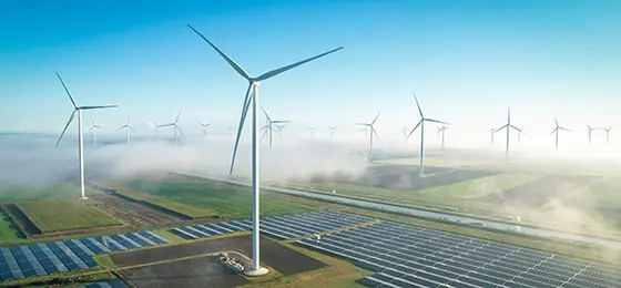 A field of windmills and solar panels against a blue sky.