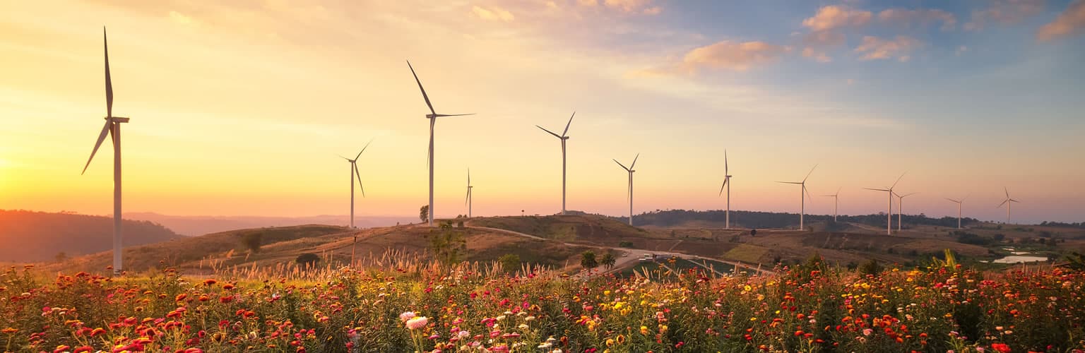 The Centre for the Analysis of Investment Risk (CAIR) - Image of wind turbines