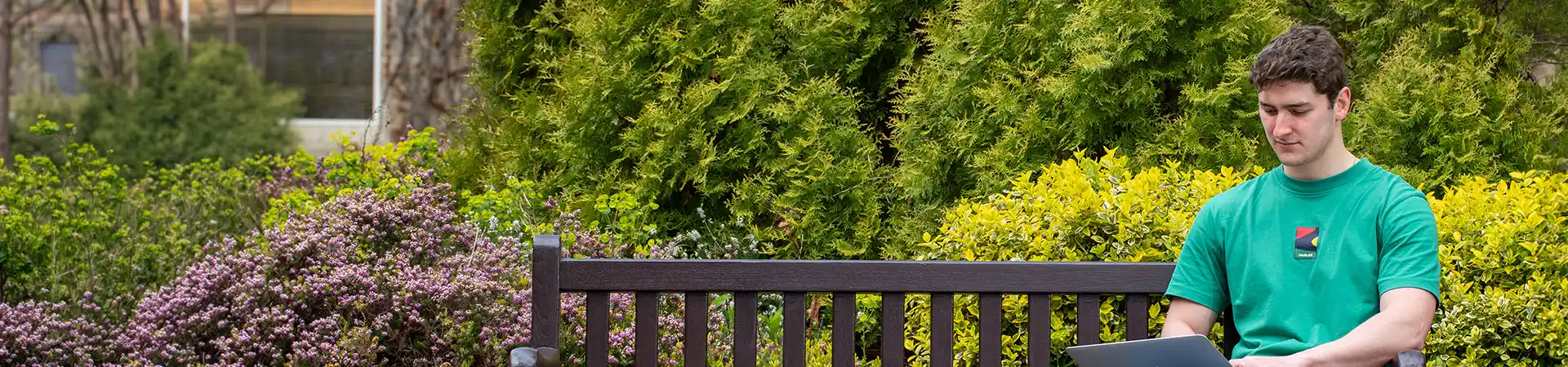 A male student working on a laptop outside on a bench with green bushes in the background.