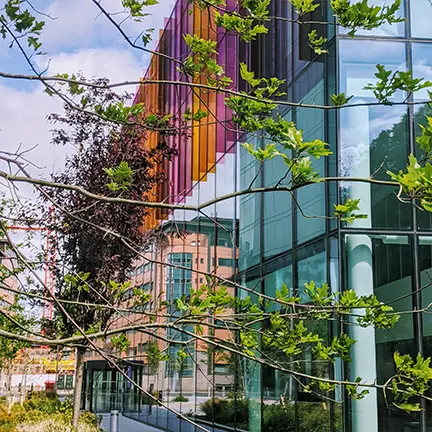 Modern glass building with colorful vertical panels, partially obscured by green tree branches in an urban campus setting.